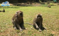 Telaga Warna 6 Telaga Warna 6