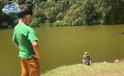 Telaga Warna 9 Telaga Warna 9