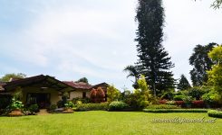 banny-flowers-house1 banny-flowers-house1