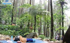 curug-cilember-cisarua-puncak8