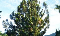 new-karwika-hotel-resort8