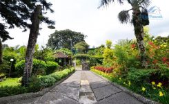 villa-banny-flowers-house-puncak-1 villa-banny-flowers-house-puncak-1