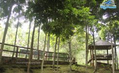 villa di megamendung puncak8